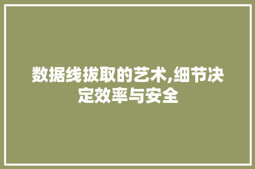 数据线拔取的艺术,细节决定效率与安全