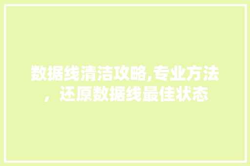 数据线清洁攻略,专业方法，还原数据线最佳状态