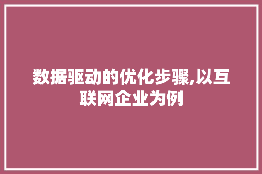 数据驱动的优化步骤,以互联网企业为例