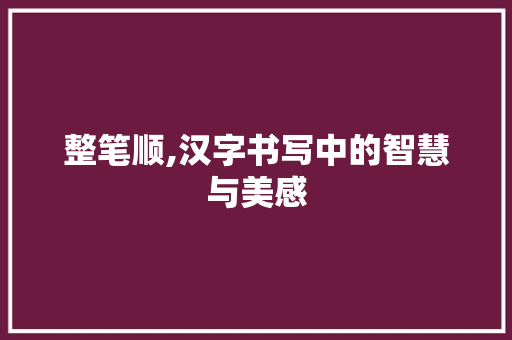 整笔顺,汉字书写中的智慧与美感