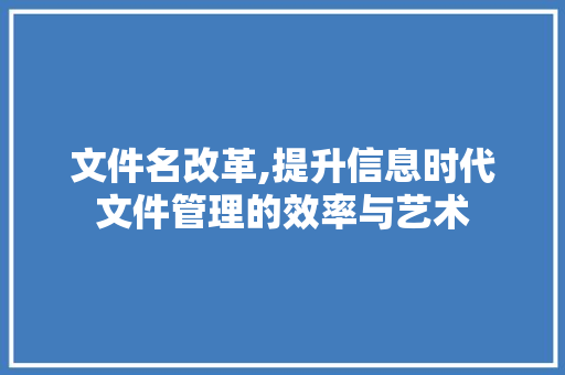 文件名改革,提升信息时代文件管理的效率与艺术