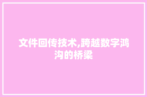 文件回传技术,跨越数字鸿沟的桥梁