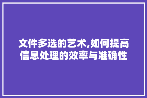 文件多选的艺术,如何提高信息处理的效率与准确性 友链在线
