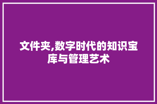 文件夹,数字时代的知识宝库与管理艺术