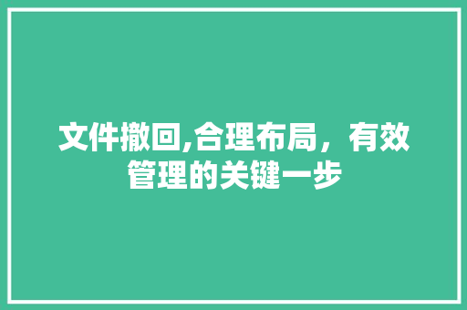 文件撤回,合理布局，有效管理的关键一步 WordPress教程