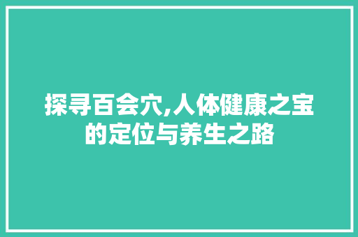 探寻百会穴,人体健康之宝的定位与养生之路 SEO教程