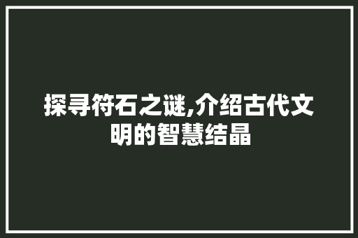 探寻符石之谜,介绍古代文明的智慧结晶