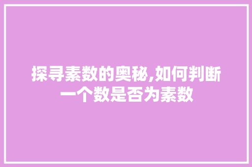 探寻素数的奥秘,如何判断一个数是否为素数 友链在线