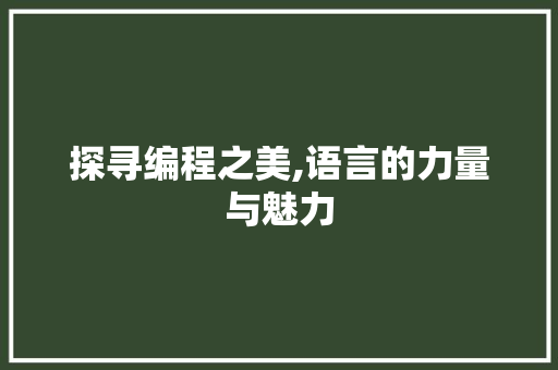 探寻编程之美,语言的力量与魅力 SEO教程