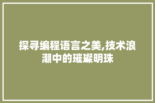 探寻编程语言之美,技术浪潮中的璀璨明珠