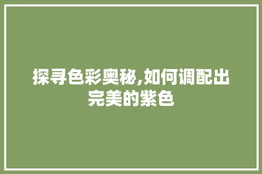 探寻色彩奥秘,如何调配出完美的紫色 SEO教程