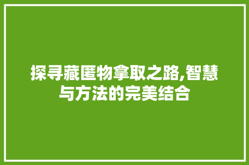 探寻藏匿物拿取之路,智慧与方法的完美结合