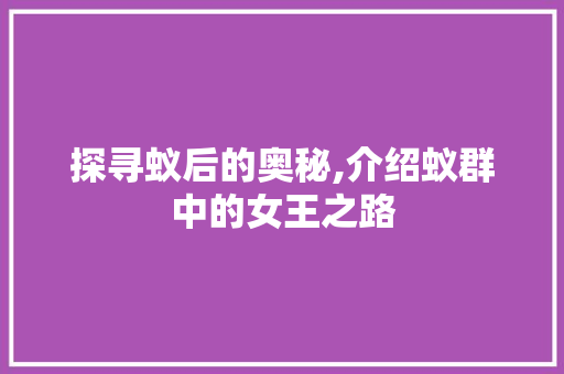探寻蚁后的奥秘,介绍蚁群中的女王之路