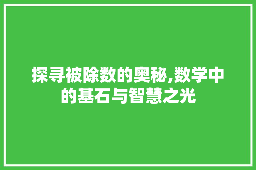 探寻被除数的奥秘,数学中的基石与智慧之光