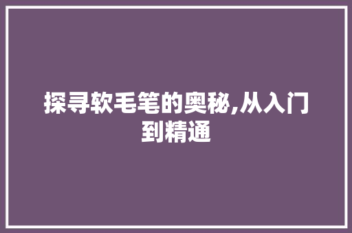 探寻软毛笔的奥秘,从入门到精通