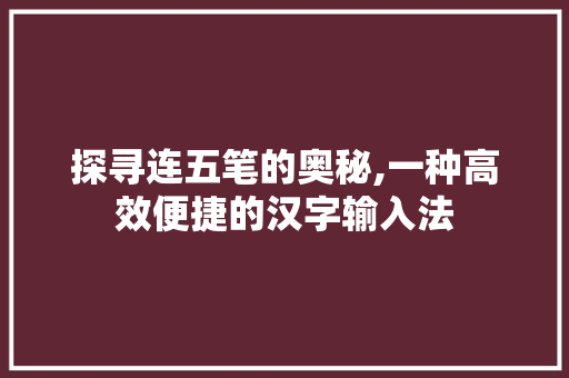 探寻连五笔的奥秘,一种高效便捷的汉字输入法