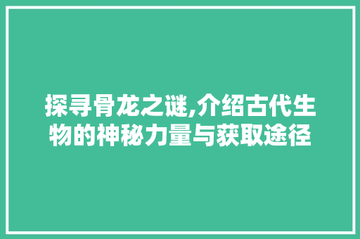 探寻骨龙之谜,介绍古代生物的神秘力量与获取途径