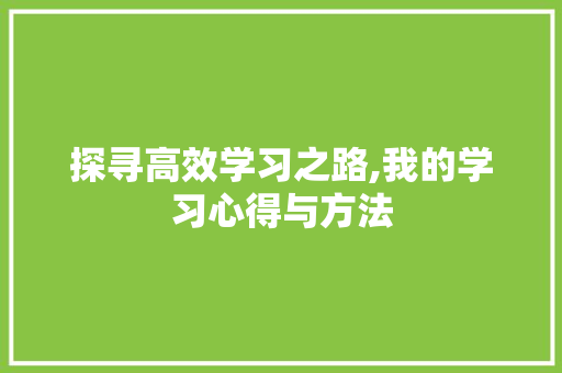探寻高效学习之路,我的学习心得与方法