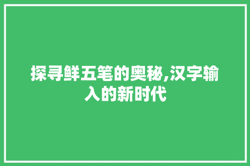 探寻鲜五笔的奥秘,汉字输入的新时代