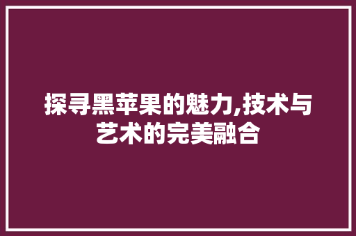 探寻黑苹果的魅力,技术与艺术的完美融合
