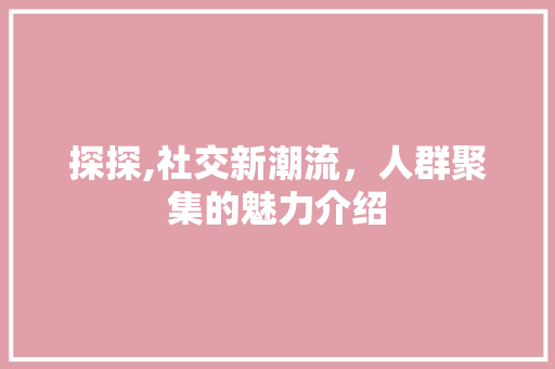 探探,社交新潮流，人群聚集的魅力介绍