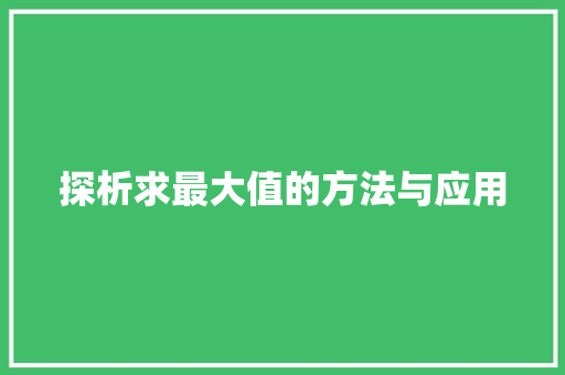 探析求最大值的方法与应用