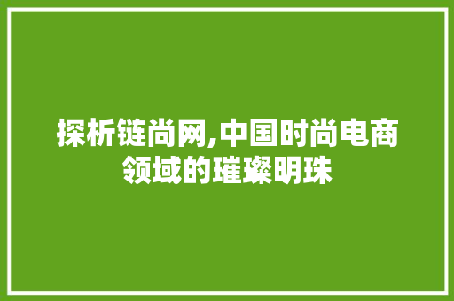 探析链尚网,中国时尚电商领域的璀璨明珠