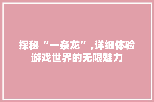 探秘“一条龙”,详细体验游戏世界的无限魅力
