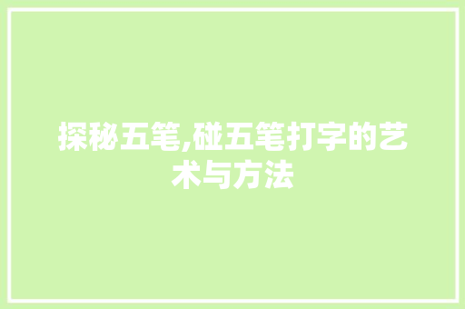 探秘五笔,碰五笔打字的艺术与方法