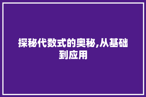 探秘代数式的奥秘,从基础到应用