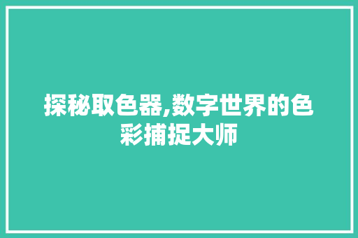 探秘取色器,数字世界的色彩捕捉大师