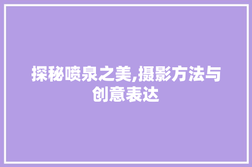 探秘喷泉之美,摄影方法与创意表达 探秘喷泉之美,摄影方法与创意表达