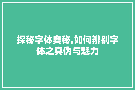探秘字体奥秘,如何辨别字体之真伪与魅力 探秘字体奥秘,如何辨别字体之真伪与魅力
