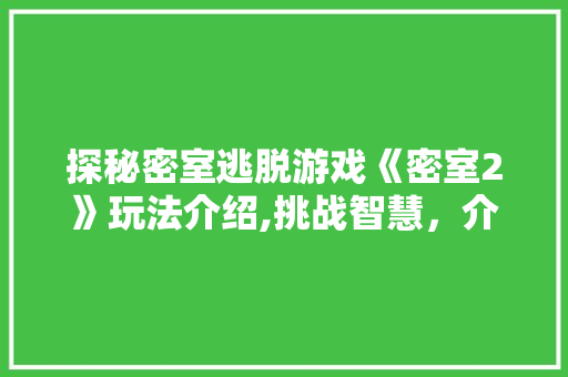 探秘密室逃脱游戏《密室2》玩法介绍,挑战智慧，介绍悬疑之旅