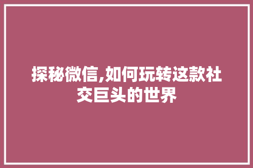 探秘微信,如何玩转这款社交巨头的世界 SEO教程