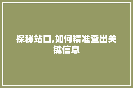 探秘站口,如何精准查出关键信息