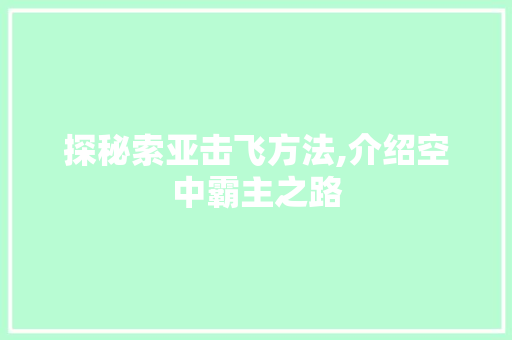 探秘索亚击飞方法,介绍空中霸主之路