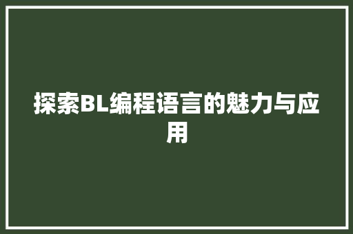 探索BL编程语言的魅力与应用