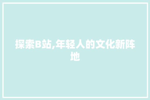 探索B站,年轻人的文化新阵地