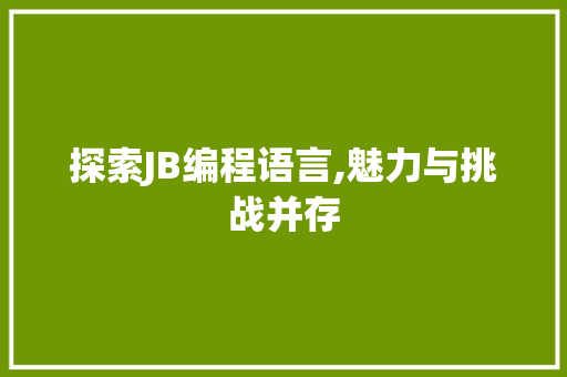 探索JB编程语言,魅力与挑战并存 服务器/数据库