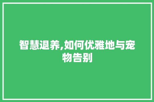 智慧退养,如何优雅地与宠物告别 建站教程