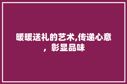 暖暖送礼的艺术,传递心意，彰显品味 建站教程