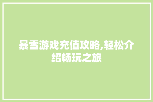 暴雪游戏充值攻略,轻松介绍畅玩之旅