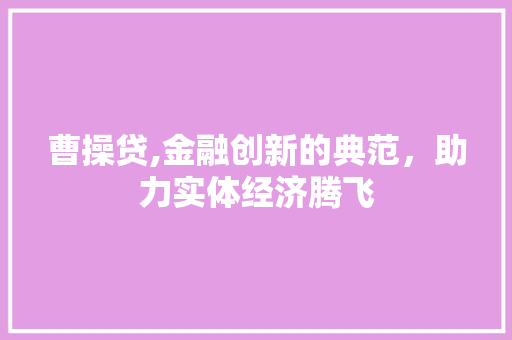曹操贷,金融创新的典范，助力实体经济腾飞