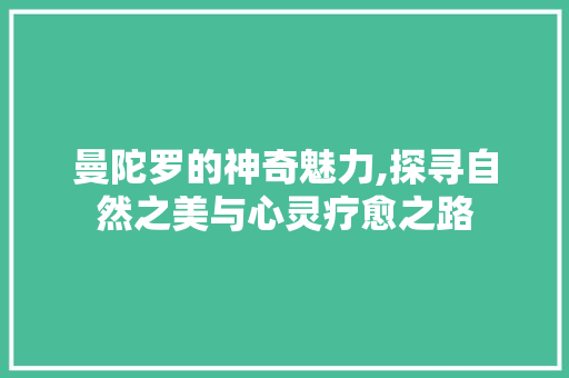 曼陀罗的神奇魅力,探寻自然之美与心灵疗愈之路