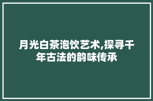 月光白茶泡饮艺术,探寻千年古法的韵味传承