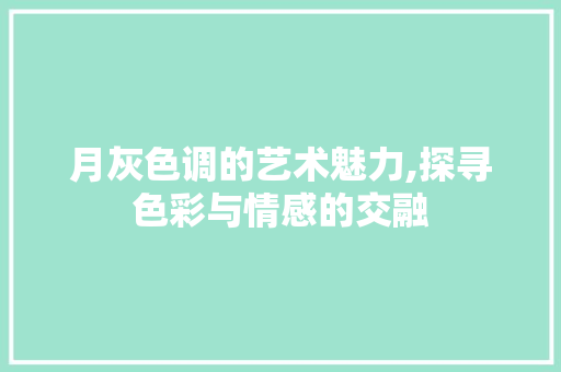 月灰色调的艺术魅力,探寻色彩与情感的交融 友链在线