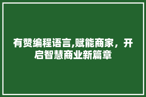 有赞编程语言,赋能商家，开启智慧商业新篇章