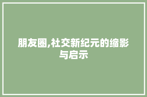 朋友圈,社交新纪元的缩影与启示
