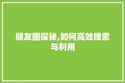 朋友圈探秘,如何高效搜索与利用